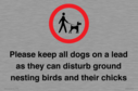 please-keep-all-dogs-on-a-lead-as-they-can-disturb-ground-nesting-birds-and-thei~